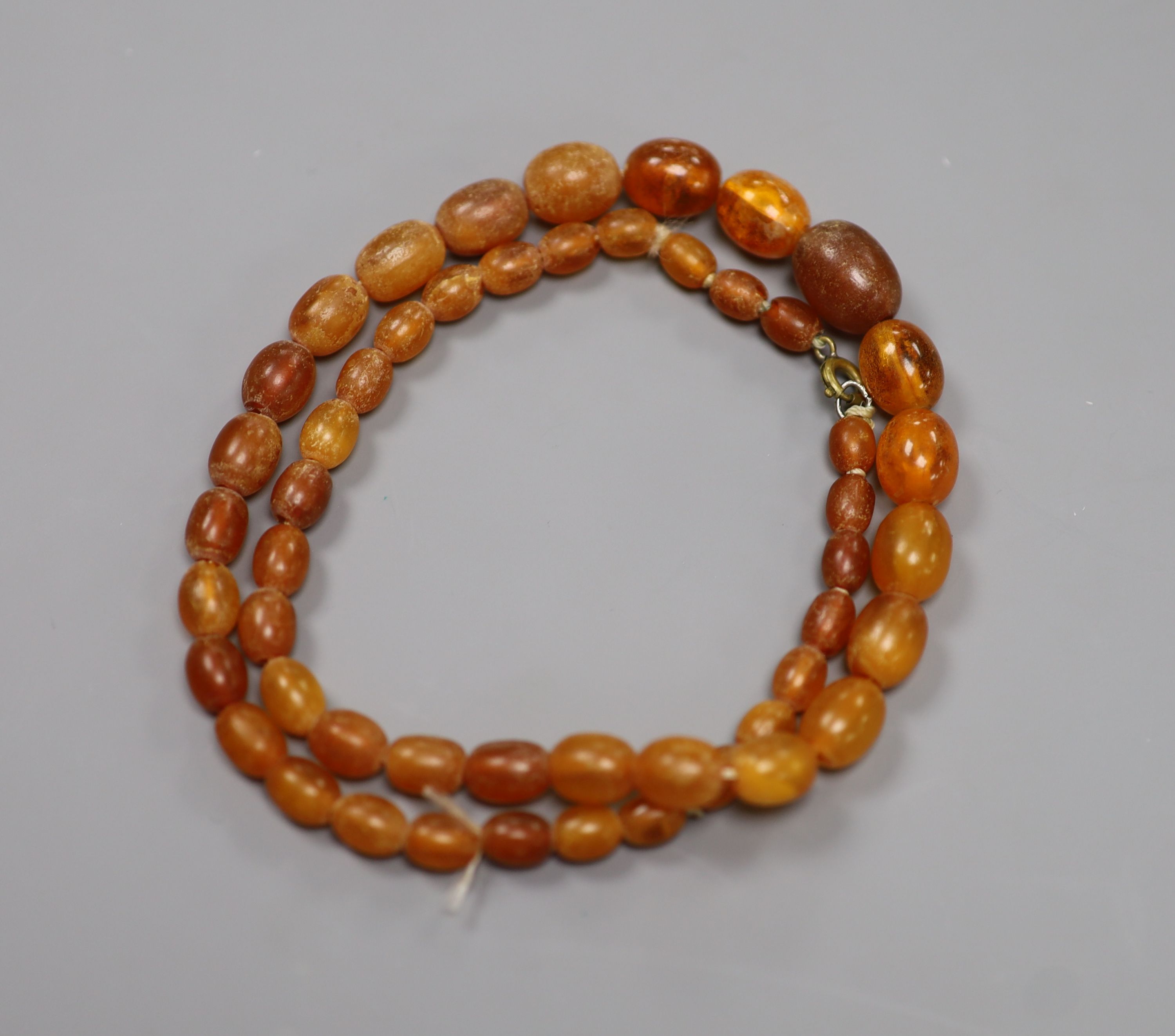 A single strand graduated oval amber bead necklace, 48cm, gross weight 17 grams.